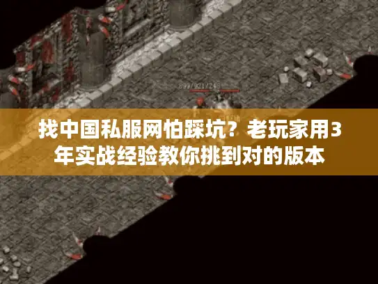 找中国私服网怕踩坑？老玩家用3年实战经验教你挑到对的版本