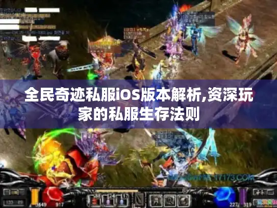 全民奇迹私服iOS版本解析,资深玩家的私服生存法则