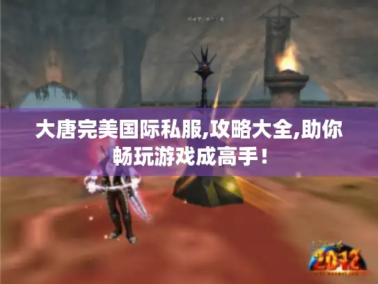 大唐完美国际私服,攻略大全,助你畅玩游戏成高手！