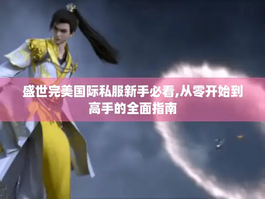 盛世完美国际私服新手必看,从零开始到高手的全面指南