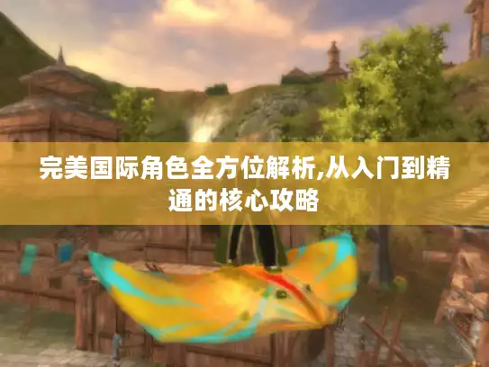 完美国际角色全方位解析,从入门到精通的核心攻略