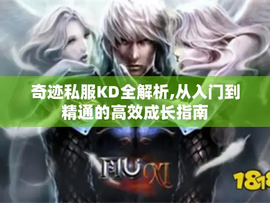 奇迹私服KD全解析,从入门到精通的高效成长指南