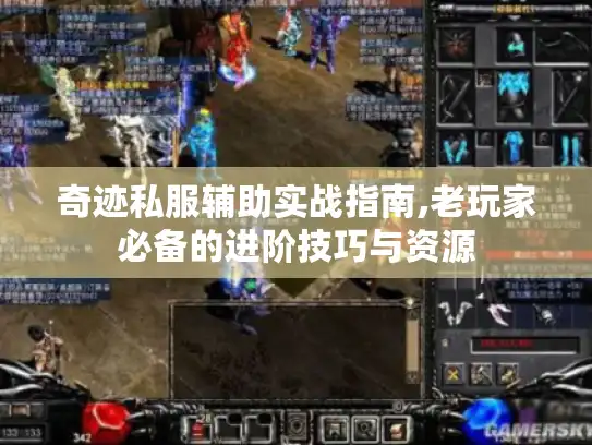 奇迹私服辅助实战指南,老玩家必备的进阶技巧与资源