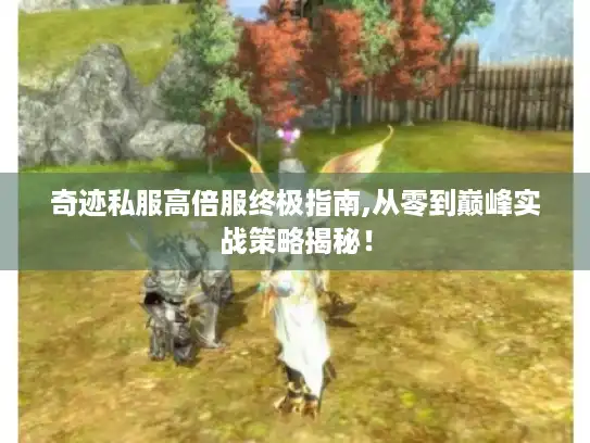 奇迹私服高倍服终极指南,从零到巅峰实战策略揭秘！