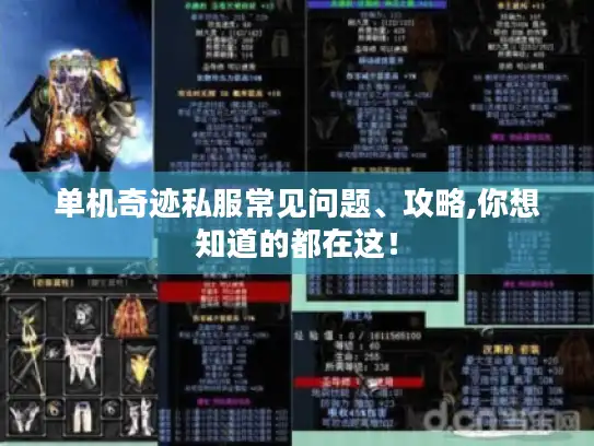 单机奇迹私服常见问题、攻略,你想知道的都在这! 单机奇迹私服常见问题、攻略,你想知道的都在这!