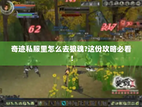 奇迹私服里怎么去狼魂?这份攻略必看! 奇迹私服里怎么去狼魂?这份攻略必看!