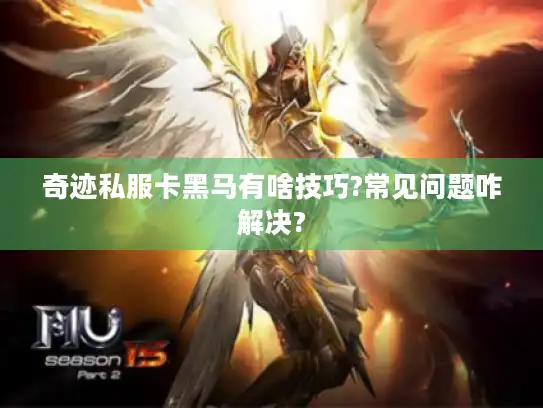 奇迹私服卡黑马有啥技巧?常见问题咋解决?