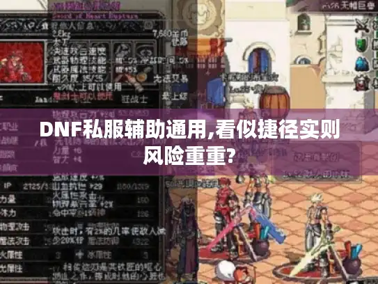 DNF私服辅助通用,看似捷径实则风险重重?