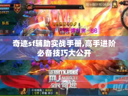奇迹sf辅助实战手册,高手进阶必备技巧大公开