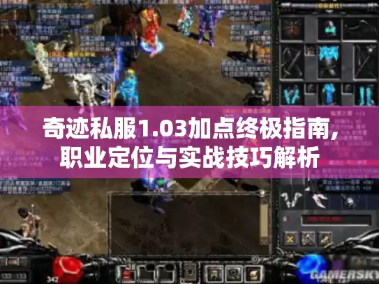 奇迹私服1.03加点终极指南,职业定位与实战技巧解析