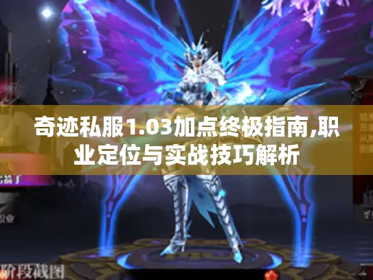 奇迹私服1.03加点终极指南,职业定位与实战技巧解析