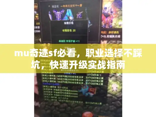 mu奇迹sf必看,职业选择不踩坑,快速升级实战指南 mu奇迹sf必看,职业选择不踩坑,快速升级实战指南