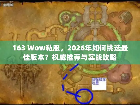 163 Wow私服，2026年如何挑选最佳版本？权威推荐与实战攻略
