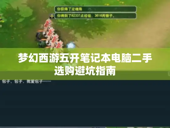 梦幻西游五开笔记本电脑二手选购避坑指南