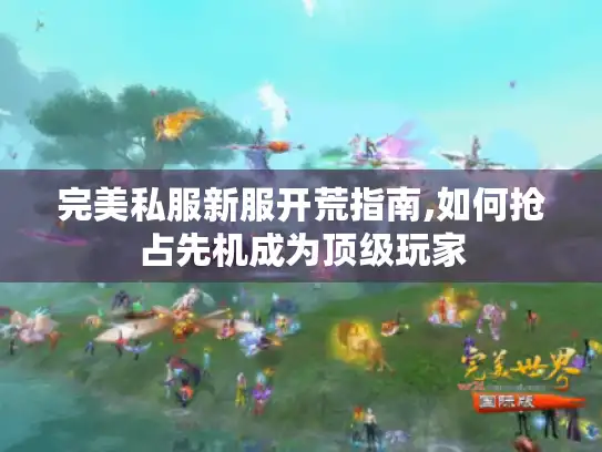 完美私服新服开荒指南,如何抢占先机成为顶级玩家