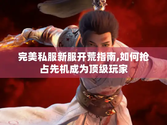 完美私服新服开荒指南,如何抢占先机成为顶级玩家