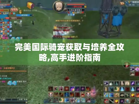 完美国际骑宠获取与培养全攻略,高手进阶指南