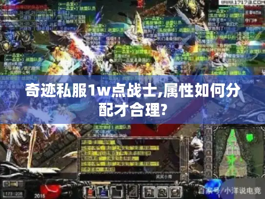 奇迹私服1w点战士,属性如何分配才合理?