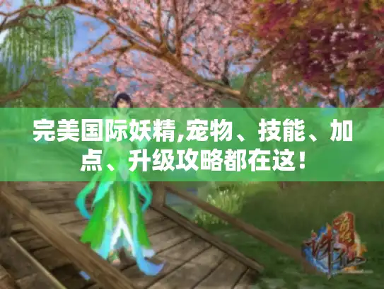 完美国际妖精,宠物、技能、加点、升级攻略都在这！