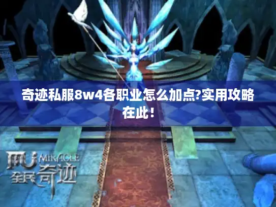奇迹私服8w4各职业怎么加点?实用攻略在此！