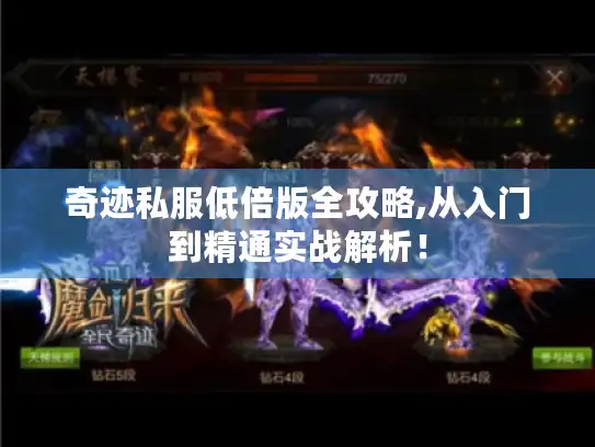 奇迹私服低倍版全攻略,从入门到精通实战解析！