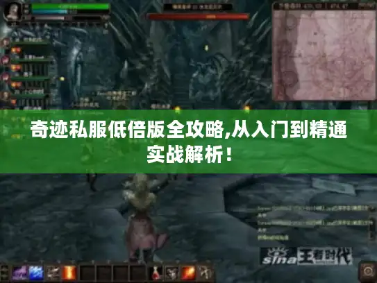 奇迹私服低倍版全攻略,从入门到精通实战解析！