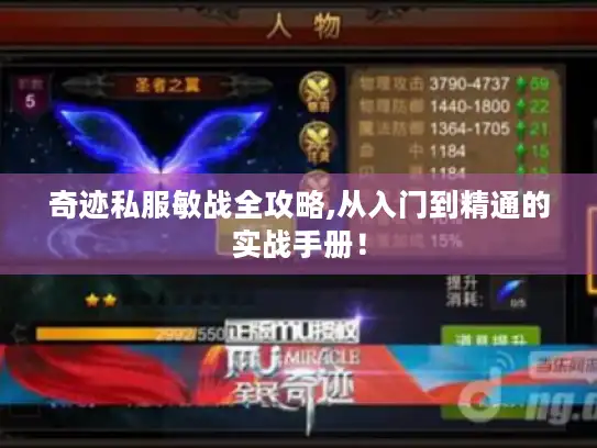 奇迹私服敏战全攻略,从入门到精通的实战手册！