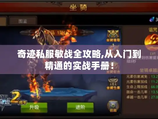 奇迹私服敏战全攻略,从入门到精通的实战手册！