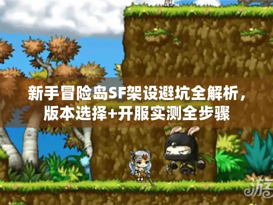 新手冒险岛SF架设避坑全解析,版本选择+开服实测全步骤 新手冒险岛SF架设避坑全解析,版本选择+开服实测全步骤