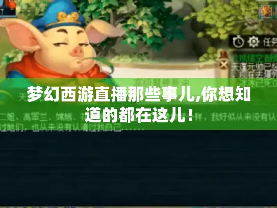梦幻西游直播那些事儿,你想知道的都在这儿！