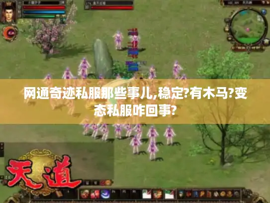 网通奇迹私服那些事儿,稳定?有木马?变态私服咋回事?