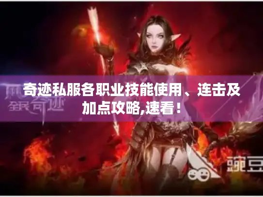 奇迹私服各职业技能使用、连击及加点攻略,速看！