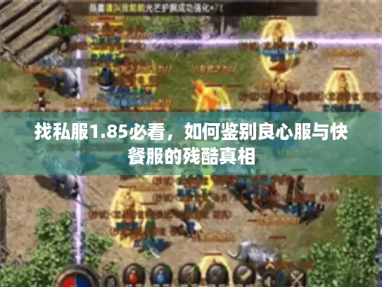 找私服1.85必看，如何鉴别良心服与快餐服的残酷真相