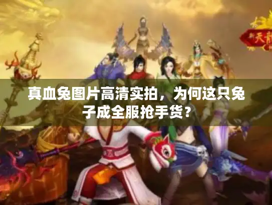 真血兔图片高清实拍,为何这只兔子成全服抢手货? 真血兔图片高清实拍,为何这只兔子成全服抢手货?