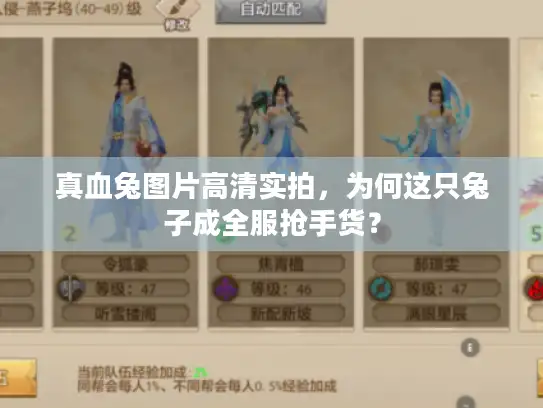 真血兔图片高清实拍,为何这只兔子成全服抢手货? 真血兔图片高清实拍,为何这只兔子成全服抢手货?