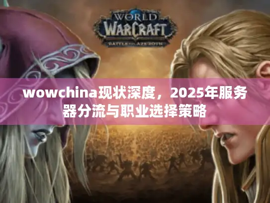 wowchina现状深度，2025年服务器分流与职业选择策略