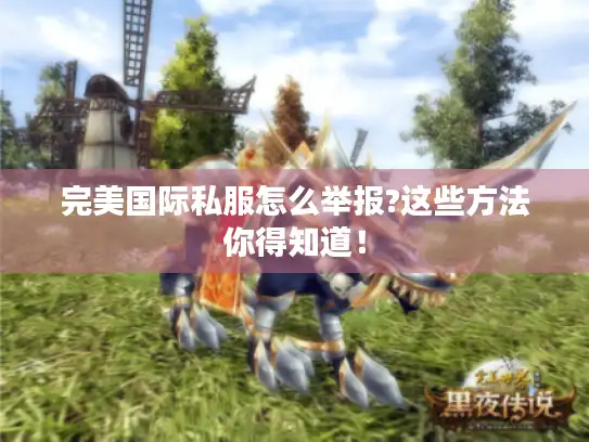 完美国际私服怎么举报?这些方法你得知道！