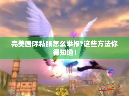 完美国际私服怎么举报?这些方法你得知道！