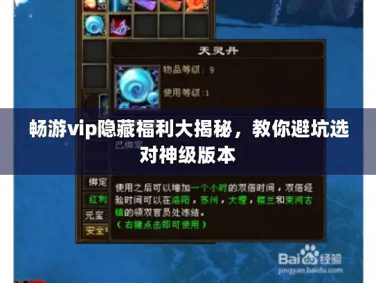 畅游vip隐藏福利大揭秘,教你避坑选对神级版本 畅游vip隐藏福利大揭秘,教你避坑选对神级版本