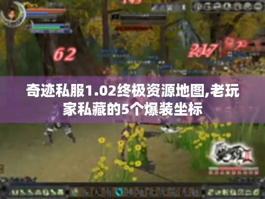 奇迹私服1.02终极资源地图,老玩家私藏的5个爆装坐标