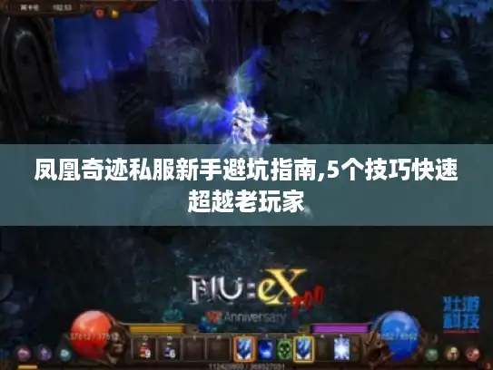 凤凰奇迹私服新手避坑指南,5个技巧快速超越老玩家