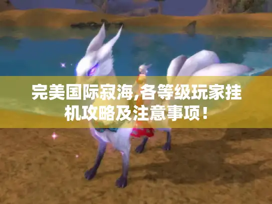 完美国际寂海,各等级玩家挂机攻略及注意事项！