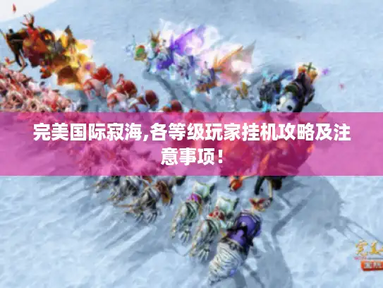 完美国际寂海,各等级玩家挂机攻略及注意事项！