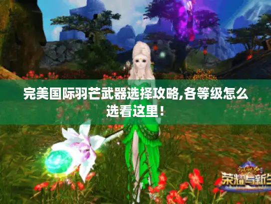 完美国际羽芒武器选择攻略,各等级怎么选看这里! 完美国际羽芒武器选择攻略,各等级怎么选看这里!