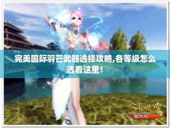 完美国际羽芒武器选择攻略,各等级怎么选看这里! 完美国际羽芒武器选择攻略,各等级怎么选看这里!