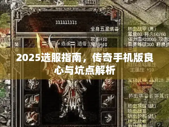 2025选服指南，传奇手机版良心与坑点解析