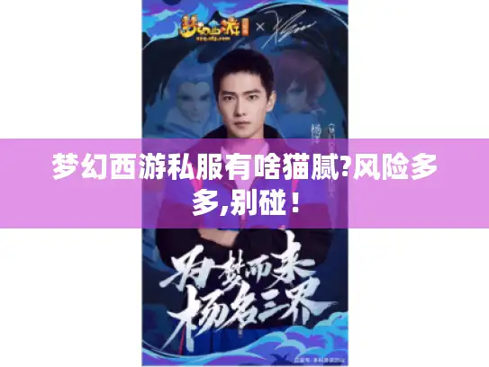 梦幻西游私服有啥猫腻?风险多多,别碰！
