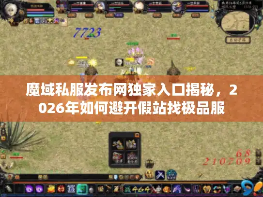 魔域私服发布网独家入口揭秘，2026年如何避开假站找极品服
