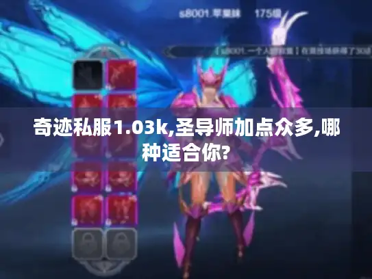 奇迹私服1.03k,圣导师加点众多,哪种适合你? 奇迹私服1.03k,圣导师加点众多,哪种适合你?