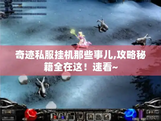 奇迹私服挂机那些事儿,攻略秘籍全在这！速看~